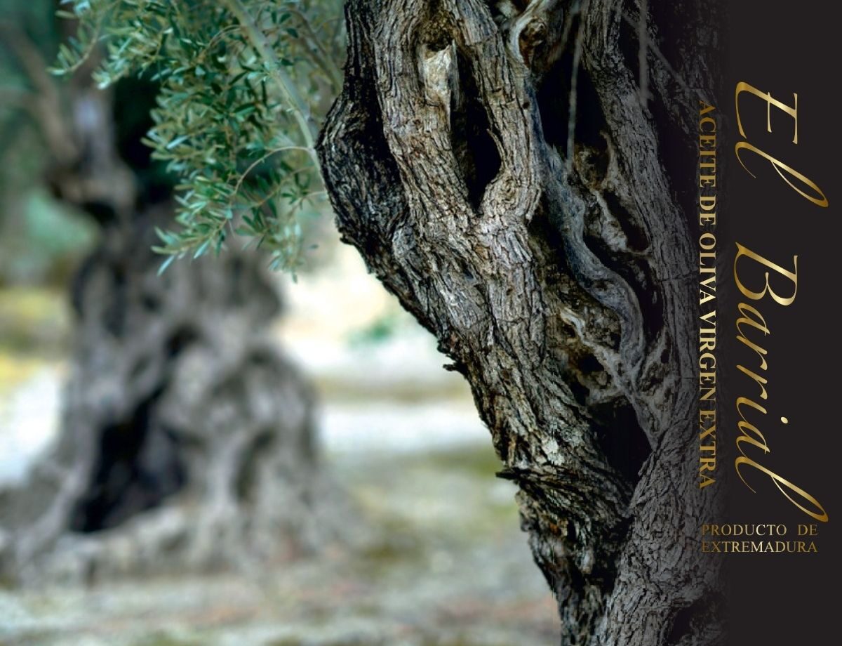 Logotipo con fondo el barrial